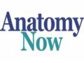 Anatomynow Promo Codes January 2022