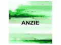 Anzie Promo Codes May 2024