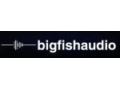 Big Fish Audio Promo Codes April 2023