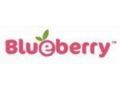 Blueberry Promo Codes January 2022
