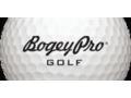 Bogeypro Golf 15% Off Promo Codes May 2024