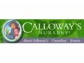 Calloway's 5$ Off Promo Codes May 2024