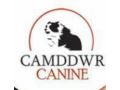 Camddwr Canine Uk Promo Codes October 2023