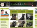 Cane-corso-dog-breed-store Promo Codes July 2022