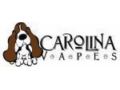 Carolinavapes Promo Codes April 2024