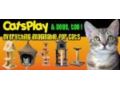 Cats Play Promo Codes March 2024