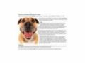 Charitycards.happystaffierescue Uk Promo Codes April 2024