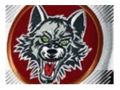 Chicago Wolves Store 20% Off Promo Codes May 2024