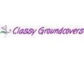 Classy Groundcovers Promo Codes May 2024
