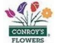 Conroy's Flowers 15% Off Promo Codes May 2024