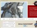 Depaoloequineconcepts Promo Codes May 2024