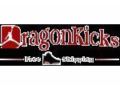 Dragonkicks Promo Codes May 2024