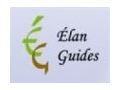Elan Guides 20% Off Promo Codes May 2024