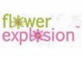 Flowerexplosion Promo Codes April 2024