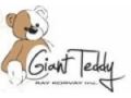 Giant Teddy Promo Codes January 2022