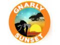 Gnarly Sunset 10% Off Promo Codes May 2024