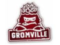 Gromville Promo Codes April 2024