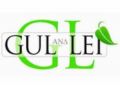 Gullei Promo Codes April 2024