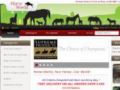 Horseworld Ie Promo Codes May 2024