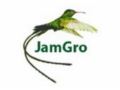 Jamaicangrocerystore 50% Off Promo Codes May 2024