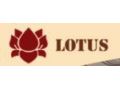 Lotus Scrubs Promo Codes May 2024