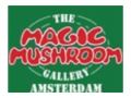 Magic Mushroom Promo Codes May 2024