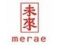 Merae Promo Codes January 2022