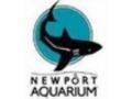 Newport Aquarium Promo Codes April 2023