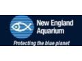 New England Aquarium Promo Codes May 2024