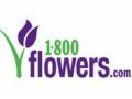 1800flowers Promo Codes April 2024