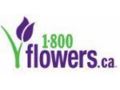 1-800-flowers Canada Promo Codes October 2023