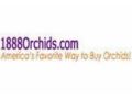 1888orchids 5% Off Promo Codes May 2024