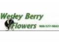 Wesley Berry Flowers Promo Codes April 2024