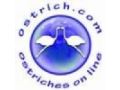 Ostriches On Line Promo Codes April 2024