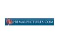 Primalpictures Promo Codes May 2024