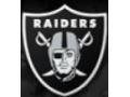 Raiders Promo Codes February 2022