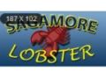 Sagamore Lobster Promo Codes October 2023
