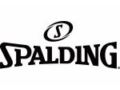 Spalding Free Shipping Promo Codes April 2024