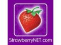 Strawberrynet Promo Codes April 2023