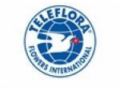 Teleflora Au Promo Codes March 2024