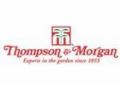 Thompson And Morgan Promo Codes October 2023