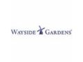 Wayside Gardens Promo Codes October 2022