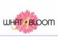 What A Bloom Promo Codes December 2022