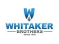 Whitaker Brothers Promo Codes April 2024