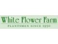 White Flower Farm Promo Codes October 2023