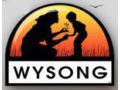 Wysong Health Promo Codes June 2023